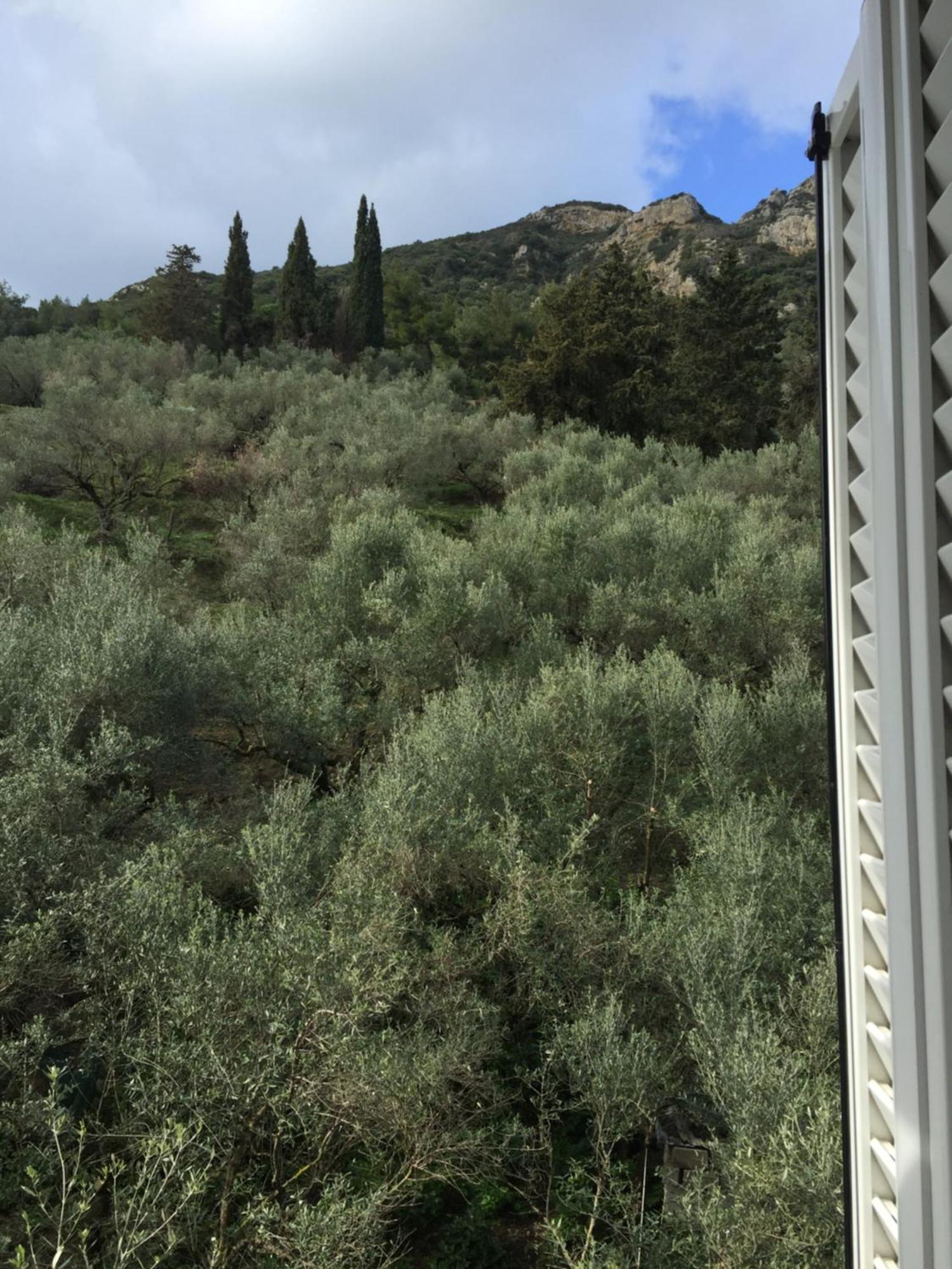 Belvedere Zakynthos Studios Vasilikos  Phòng bức ảnh