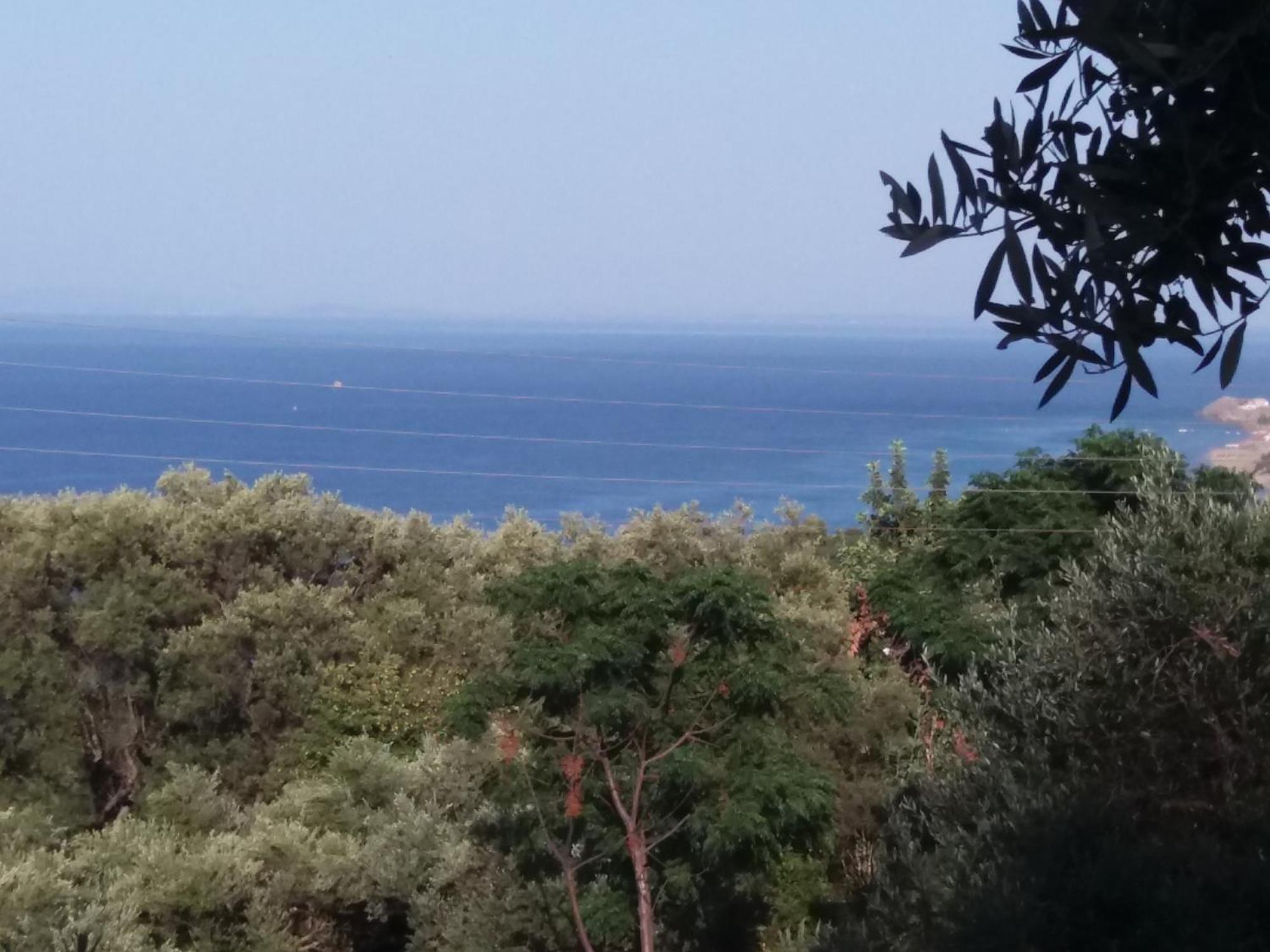 Belvedere Zakynthos Studios Vasilikos  Phòng bức ảnh